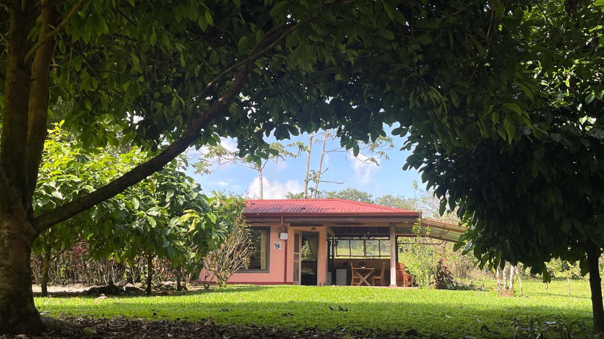Mei Tai Cacao Lodge Бійягуа Екстер'єр фото