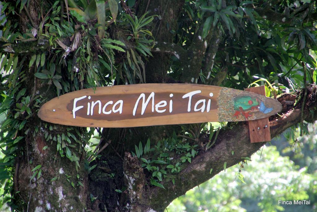 Mei Tai Cacao Lodge Бійягуа Екстер'єр фото