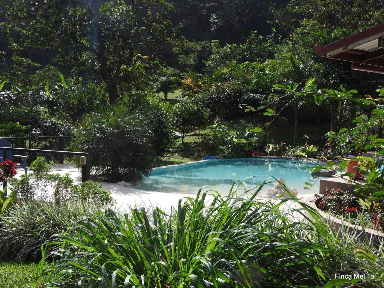 Mei Tai Cacao Lodge Бійягуа Екстер'єр фото